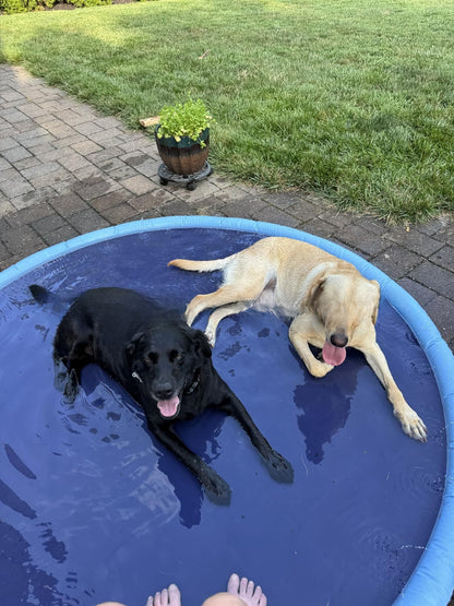 SHALLSHOPS™ Sprinkler Pad